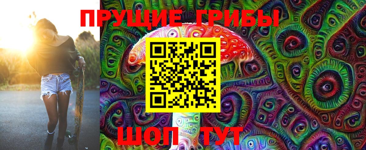 Псилоцибиновые грибы Psilocybe  Псилоцибиновые грибы мицелий  Вход с VPN  Лиски 