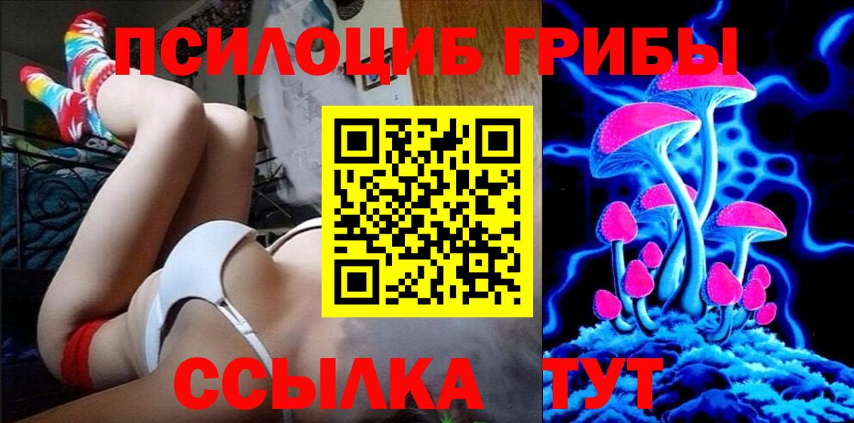 Псилоцибиновые грибы Psilocybine cubensis Лиски